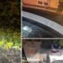 Slika od VIDEO Drvo u Zagrebu palo na automobil: ‘Apeliramo mjesnom odboru već godinu dana…’