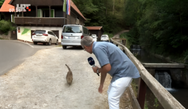 Slika od VIDEO Meštru se u javljanju za Dobro jutro, Hrvatska pridružila mačka
