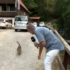 Slika od VIDEO Meštru se u javljanju za Dobro jutro, Hrvatska pridružila mačka