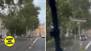 Slika od VIDEO Nevjerojatna snimka: Vjetar iščupao ogromnu granu u Zagrebu, skoro pogodila aute