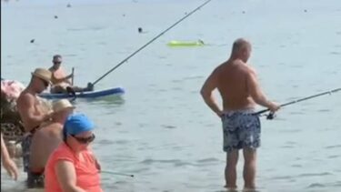 Slika od VIDEO Plaža u Makarskoj krcata kupačima, djeca se brčkaju, a njih trojica pecaju: ‘Što je ovo?’