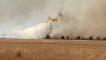 Slika od VIDEO Pogledajte kako kanader gasi požar kraj zračne luke u Zadru: ‘Vatra je gutala sve’
