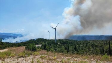 Slika od Video: Požar kod vjetroparka na Pelješcu, na terenu vatrogasci, stigli i kanaderi