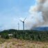 Slika od Video: Požar kod vjetroparka na Pelješcu, na terenu vatrogasci, stigli i kanaderi