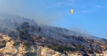 Slika od VIDEO U Italiji izbio veliki šumski požar. Evakuirano cijelo turističko naselje