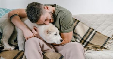 Slika od Vole li nas psi ili samo žele poslastice? Znanost ima odgovor