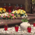 Slika od Zadarsko groblje bez ijednog slobodnog mjesta: Obiteljki pokojnika moraju se snalaziti