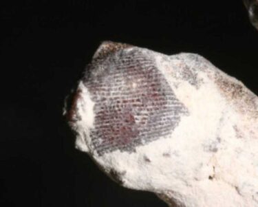 Slika od Znanstvenici zapanjeni otkrićem o mumijama: ‘Ti otisci prstiju nisu ljudski’