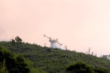 Slika od Buknuo požar na Pagu i u Vodicama, stigli i kanaderi: ‘Vatra je 50-ak metara od kuća’