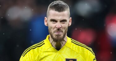 Slika od De Gea ima novi klub