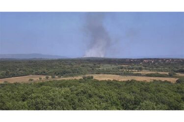 Slika od Gori u Istri: Požar na području općine Marčana, na terenu 30 vatrogasaca