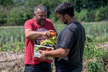 Slika od IZ VRTA U KOŠIC Posjetili smo OPG Đaja Katić u Zastolju