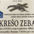 Slika od Nogometni klub oprostio se od dječaka kojeg je usmrtio pijanac. “Ne boli samo smrt”