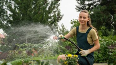 Slika od Radovi u vrtu u kolovozu: Sade se jagode, a skupljaju tikvice