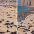 Slika od Snimka gužve na plaži u Egiptu zgrozila ljude: “Radije bih ostala kod kuće”
