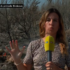 Slika od Tužni prizori iznad Makarske, vatra i dalje gori: ‘Emocionalno nas je ovo iscrpilo’