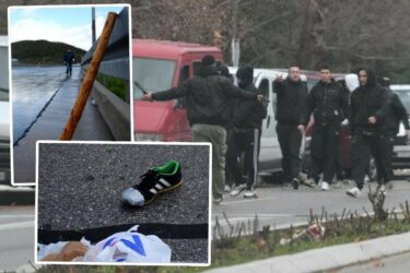 Slika od U masovnoj tučnjavi Torcide i BBB-a na A1 19 ozlijeđenih, sve je i snimljeno. U iznenađujućem obratu svih 47 prošli lišo