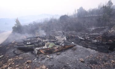 Slika od U Tučepima i Vrsinama dosad izgorjelo oko 800 hektara, na terenu 500 vatrogasaca