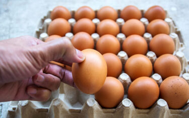 Slika od Uskoro odobrenje za izvoz konzumnih jaja i pilića iz BiH u EU