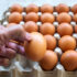Slika od Uskoro odobrenje za izvoz konzumnih jaja i pilića iz BiH u EU