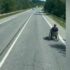 Slika od Usred najveće gužve je u invalidskim kolicima zauzeo traku, tako je putovao 4,5 kilometra