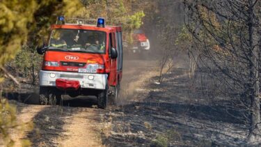 Slika od Vatrogasci se još bore s požarima u Šibensko-kninskoj i Splitsko-dalmatinskoj županiji