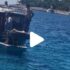 Slika od VIDEO: Ekipa na brodu okrenula janje. ‘Ovi na jahtama pored ne mogu sebi doći’