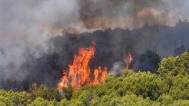 Slika od VIDEO U Šibeniku planula šuma: ‘Natapamo rubove da se vatra ne širi. Građani mogu biti mirni’