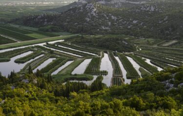 Slika od Agrarna stranka upozorava na novi trend iz Europe: ‘To bi moglo uništiti hrvatski krajolik’