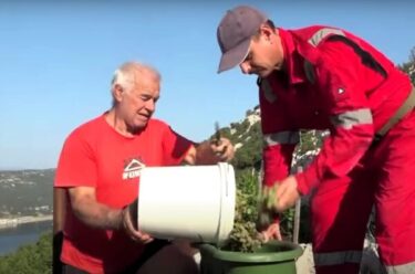 Slika od Bit će fine Bakarske vodice: Više od 25 volontera i članova PZ Dolčina na berbi grožđa na Bakarskim prezidima