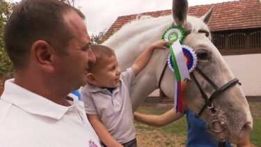 Slika od Kad su ga kupili kao ždrijebe, znali su da nisu pogriješili! Sada je šampion: ‘Nisam sumnjao u njega’