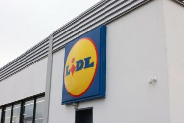 Slika od Lidl u našem susjedstvu gradi tri nove trgovine, a na 60 tisuća kvadrata niče i poseban centar. Evo o čemu se radi