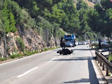 Slika od Motocikl još leži na magistrali, kolone su sve duže