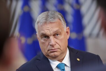 Slika od Orban za bližu suradnju EU-a po pitanju tržišta i obrane, ali ne i migracija