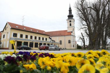 Slika od Prilika iz snova za iznajmljivače: hrvatska općina nudi zemljište i kuće po jedan euro za gradnju turističkih kapaciteta