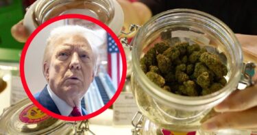 Slika od Trump podržava legalizaciju kanabisa na Floridi