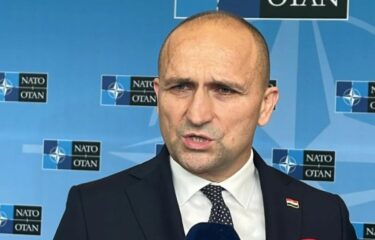 Slika od Anušić: Milanović zabranio načelniku GS OSRH dolazak na Odbor za obranu