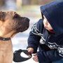 Slika od Nikamo ne idete bez svog psa? Instalirajte aplikaciju koja ‘zna’ sve o pet friendly mjestima u Hrvatskoj