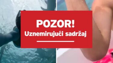 Slika od VIDEO Djevojku na Maldivima ugrizao morski pas, fanovi u šoku: ‘Ma je li to Ela Jerković?’