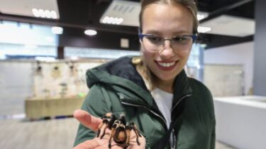 Slika od VIDEO Jedni se zgražaju, drugi fotografiraju: 70 tarantula i insekata stiglo je u Zagreb