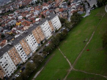 Slika od Zagrepčane šokirao prizor na livadi: ‘Ovom kvartu hitno treba sanatorij’